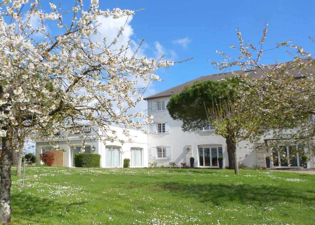 Logis Hotel Restaurant Des Chateaux Azay-le-Rideau Ngoại thất bức ảnh